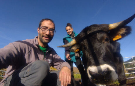 dos personas con una vaca comiendo