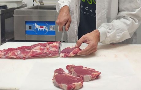 9_Jorge-Despiece_zoom